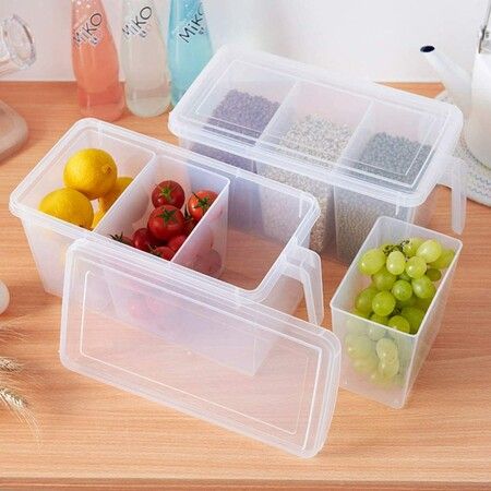 Square Handle Plastic Storage Containers and Food Organizer with Lids for Fridge(2packs)