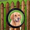 Pet Peek Fence Bubble Window For Dogs Durable Acrylic Dome Fence Window