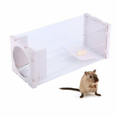 Smart Mouse Trap Humane Non-Poisonous Rat Killer Kit Automatic Mouse  Multi-catch Trap Machine Trapstar by CO2 Cylinders For Home - Crazy Sales