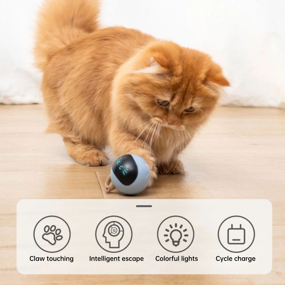 Auto Interactive Dog Ball Toys Electric USB Rechargeable Self Rotating  Indoor Teaser Selfplay Exercise Toys for Dog Puppy Pet