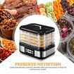 Maxkon Digital Electric Food Dehydrator Dryer Machine for Fruit Mushroom Jerky 5 Trays 450W