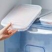 Plastic Bacon Storage Containers with Lids Airtight Cold Cuts Cheese Deli Meat Saver Food Storage Container