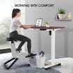 Sit Standing Desk Electric Height Adjustable Motorised Computer Table Ergonomic Home Office Wood Colour