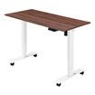 Sit Standing Desk Electric Height Adjustable Motorised Computer Table Ergonomic Home Office Wood Colour