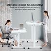 White Sit Standing Desk Electric Motorised Computer Table Height Adjustable Ergonomic Home Office