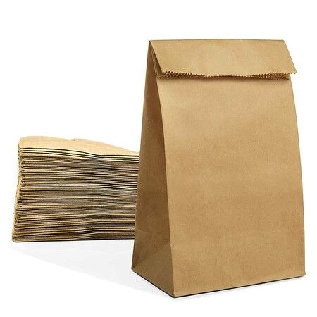 100 Pack Brown Paper Lunch Bags  Kraft Paper Bags Lunch Snacks