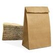 100 Pack Brown Paper Lunch Bags Kraft Paper Bags Lunch Snacks