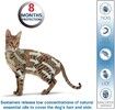 Natural and Safe Flea and Tick Collar for Cats -8 Months Protection 38CM - One Size Fits All - 2 Pack