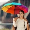 Windproof Travel Umbrella - Wind Resistant, Small for Rain