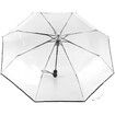 Clear Canopy Automatic Open Foldable Umbrella