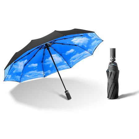 Windproof Travel Umbrella - Wind Resistant, Small for Rain - Men and Women