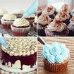 Cake Piping Nozzles Set 12 Russian Cake Decorating Nozzles 2 Small Flower Nozzles 2 Couplers 10 Disposable Bags 1 Icing Bag Cake Decorating Tools