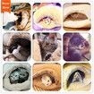 55cm Warm Soft Cat House Pet Sleeping Bag Lovely Hamburger