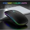 Wireless Bluetooth with USB Rechargeable RGB Mouse BT5.2 for Laptop Computer PC Macbook Gaming Mouse 2.4ghz (Black)