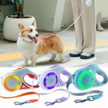Retractable Dog Leash for Dogs,LED Bright Flashlight Walking Leashes(Purple)