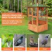 Petscene Bird Cage Aviary XL Size Wooden Cockatiel Budgie Pigeon Parrot Coop 