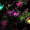 1PCS LED Garden Solar Butterfly Light Color-Changing Outdoor Waterproof for Garden Decoration Path Lawn Landscape Lamp Color Random