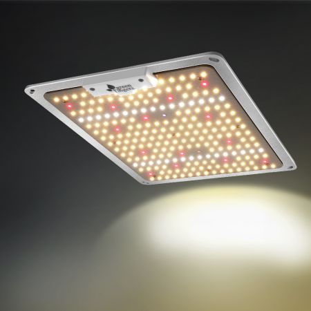 https://img.crazysales.com.au/products_pictures/2732/273247_2730748_F.jpg