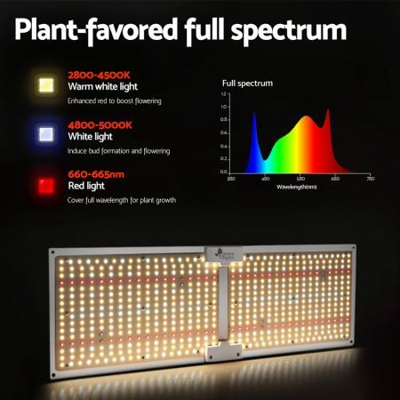 https://img.crazysales.com.au/products_pictures/2732/273253_2730765_F.jpg