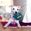 Cartoon Dog Toys Automatic Squeak Stuffed Shake Plush Puzzle For Dogs Cat Chew Jumping Giggle Ball