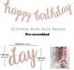 Pink Rose Gold Birthday Party Decorations Set for Birthday Party Decorations