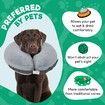 Protective Inflatable Collar for Dogs and Cats -Grey (32-45cm)