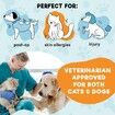 Protective Inflatable Collar for Dogs and Cats -Grey (32-45cm)