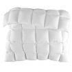 Bedding Duck Down Feather Quilt Duvet Doona Winter Queen Size 500GSM