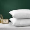 Bedding Pillow Duck Feather Down Pillows Twin Pack Standard Size Hotel