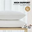 Bedding Pillow Duck Feather Down Pillows Twin Pack Standard Size Hotel