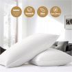 Bedding Pillow Duck Feather Down Pillows Twin Pack Standard Size Hotel