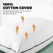 Microfibre Pillow Hotel Cotton Cover Home Soft Quality Luxury 4pcs 50*90cm