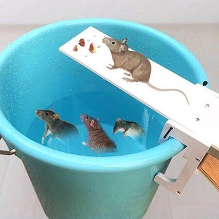 Smart Mouse Trap Humane Non-Poisonous Rat Killer Kit Automatic Mouse  Multi-catch Trap Machine Trapstar by CO2 Cylinders For Home - Crazy Sales