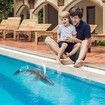 Remote Control Dinosaur for Kids,Mosasaurus Diving Toys RC Boat with Light and Spray Water for Swimming Pool Lake Bathroom Ocean Protector Bath Toys(Grey)