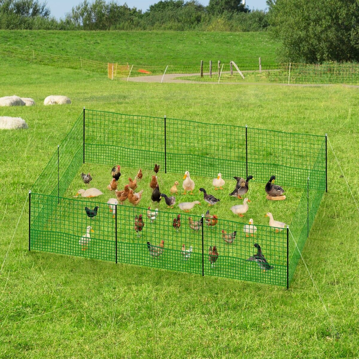 Chicken Coop Cage Pen Run Hen House Chook Fence Poultry Enclosure