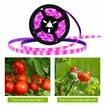 3M LED Plant Grow Light Strips,Waterproof  Full Spectrum Growing Lamp for Indoor Plants Succulents Hydroponics Greenhouse Gardening USB Bars