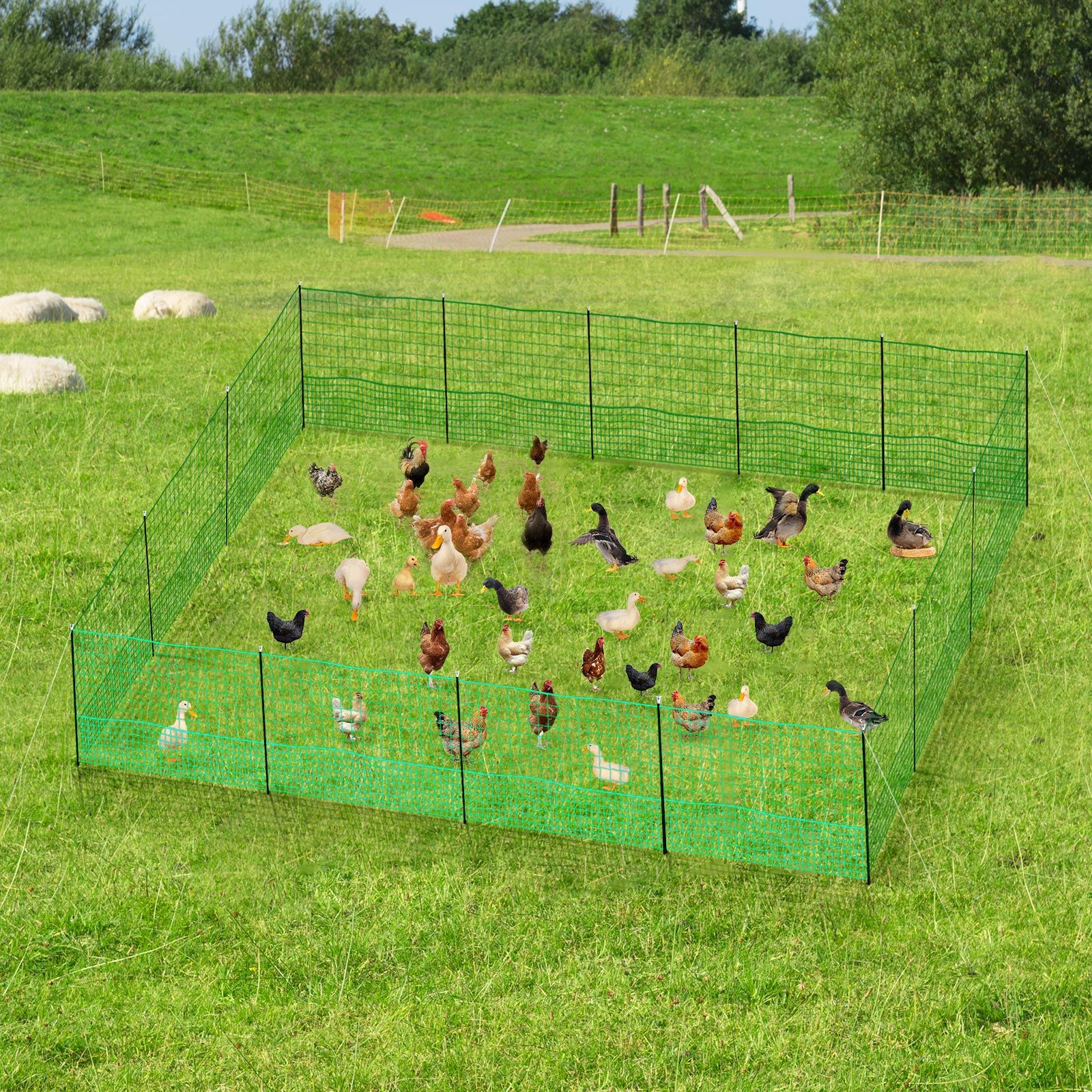 Chicken Fence Hen Poultry Coop Farm Runs Mesh Cage Net Habitat Safe ...