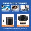 Automatic Pet Cat Feeder Dog Auto Dual Bowls Timed Food Dispenser 6L with Voice Recorder Petscene Black