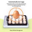 Petscene 15 Eggs Incubator Automatic Egg Hatcher Hatching Breeder with Turner Temperature Control 