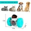 Dog Treat Puzzle Toys, Interactive Treat Food Dispenser, Slow Feeder Toys for Smart Small Medium Dogs