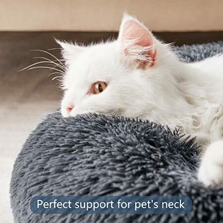 https://img.crazysales.com.au/products_pictures/276/276547_2342277_F.jpg