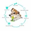 Squeaky Dog Toys Puppy Toothbrush Teeth Cleaning Toys, Tough Chew Toys for Aggressive Chewers Dog Dental Oral Care Toy