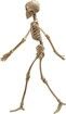 Halloween Skeletons,Halloween Decorations Skull,16" Full Body Realistic Faux Human Skeleton,For Haunted House Props