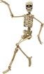 Halloween Skeletons,Halloween Decorations Skull,16" Full Body Realistic Faux Human Skeleton,For Haunted House Props