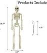 Halloween Skeletons,Halloween Decorations Skull,16" Full Body Realistic Faux Human Skeleton,For Haunted House Props