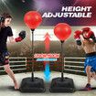 160CM Speed Ball Boxing Punching Bag Stand Set Height Adjustable Freestanding for Kids Adults with Gloves Pump