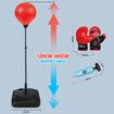 160CM Speed Ball Boxing Punching Bag Stand Set Height Adjustable Freestanding for Kids Adults with Gloves Pump