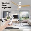 Wood Ceiling Fan Light Cooling With Remote Control LED Quiet Bedroom Living Room Modern 3 Blades 5 Speed Reverse Motor 3 Timers 52 Inch Nature Colour