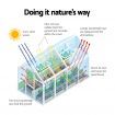 Green Fingers Greenhouse 2.42x1.9x1.95M Aluminium Polycarbonate Green House Garden Shed