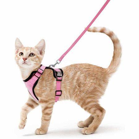 Size S Cat Harness Leash for Walking Escape Proof Soft Adjustable Easy Control Breathable Reflective Strips Jacket (Pink)